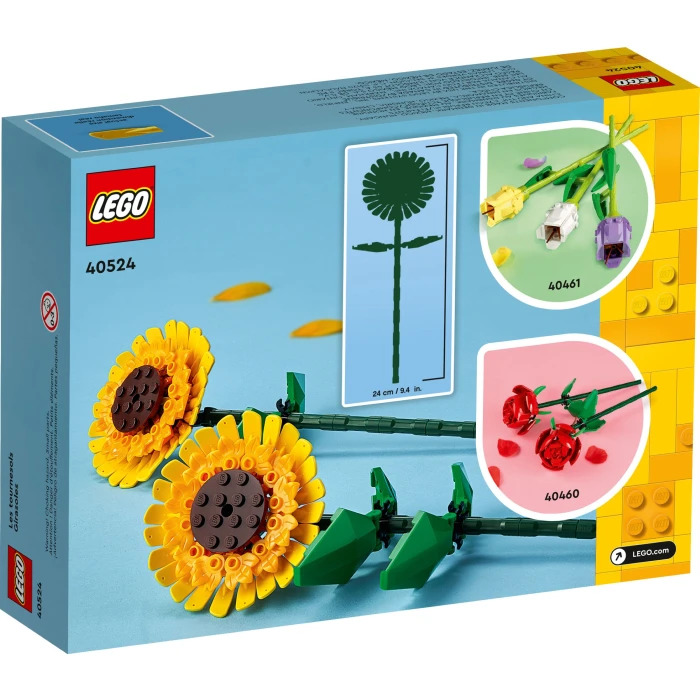 LEGO_40524_alt2_crop.jpg